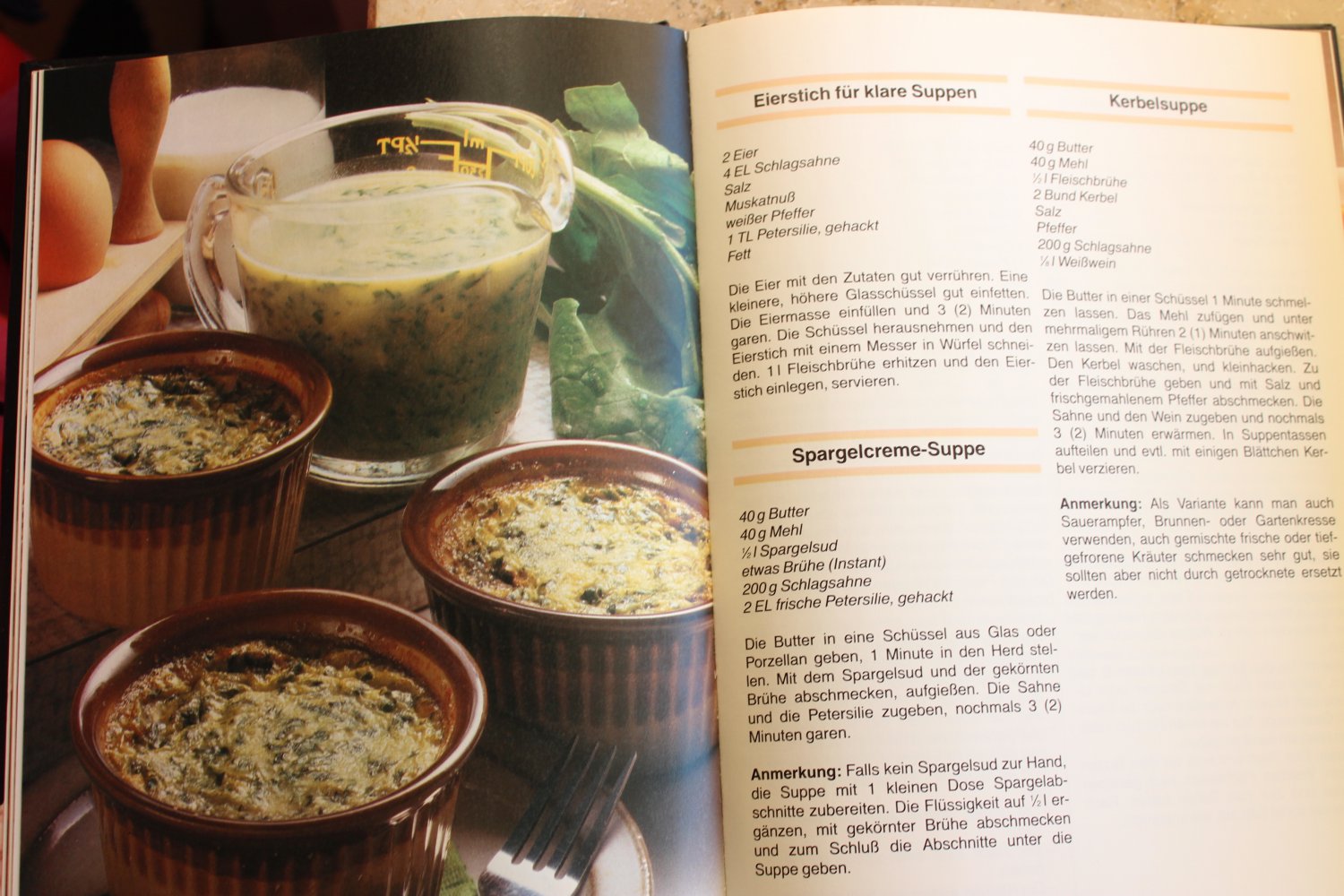 100 Rezepte Mikrowellen Küche