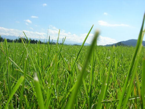 himmelblau2014