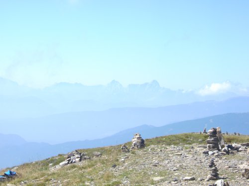 kleinstadtfuechsin