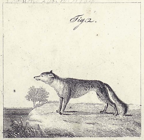 geschmetter