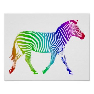 regenbogenzebra