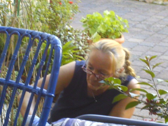 tinschjee