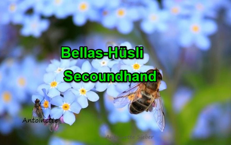 bellashuesli10