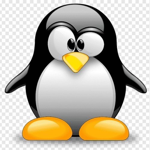 pinguin2802