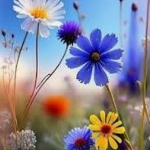 Lilien