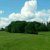 Maschenbild