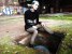 Miss_Lia