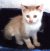 marlies5858