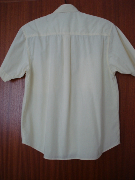 Bluse, kurzärmlig