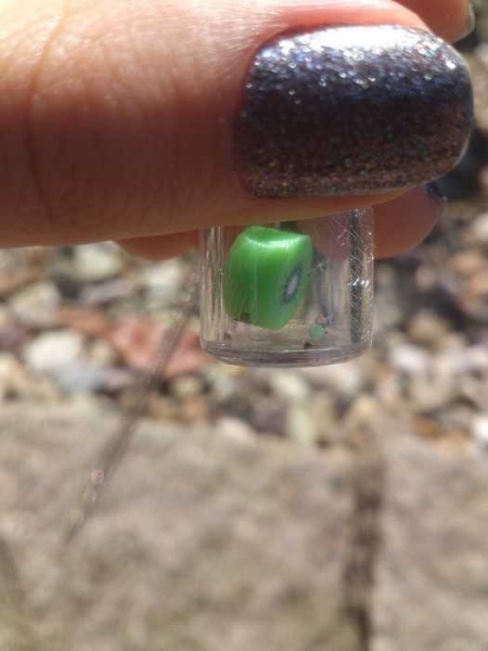 Glasflasche Behälter Korken Kiwi Kette 