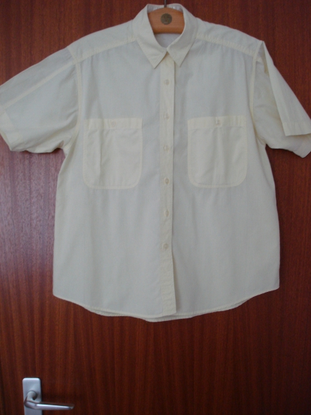 Bluse, kurzärmlig