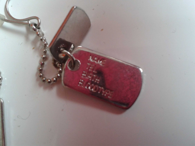 Dog Tag Ohrringe