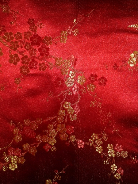 China / Asien / Cosplay Kleid