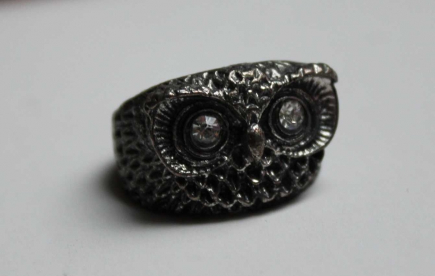 Ring Eule