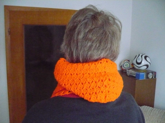 Kapuzenschal ( 17 )