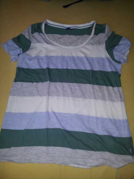 shirt, cecil