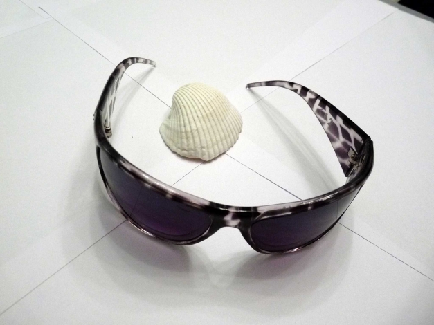 Sonnenbrille Leo 