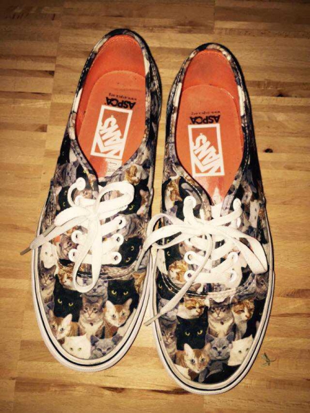 vans mit katzen vans mit katzen