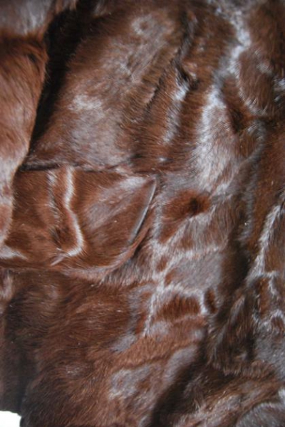 Echte Pelzjacke Vintage  Blogger  Granny  Trendi