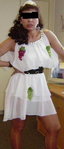 Karneval Fasching Kleid Gr. M/L ca. 40