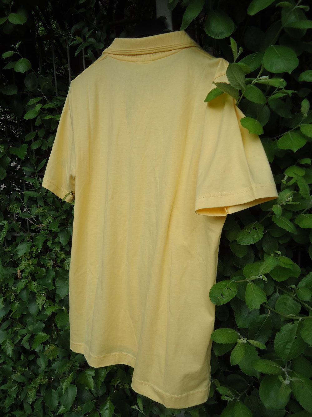 Damen Polo, original womenswear by wind sportswear