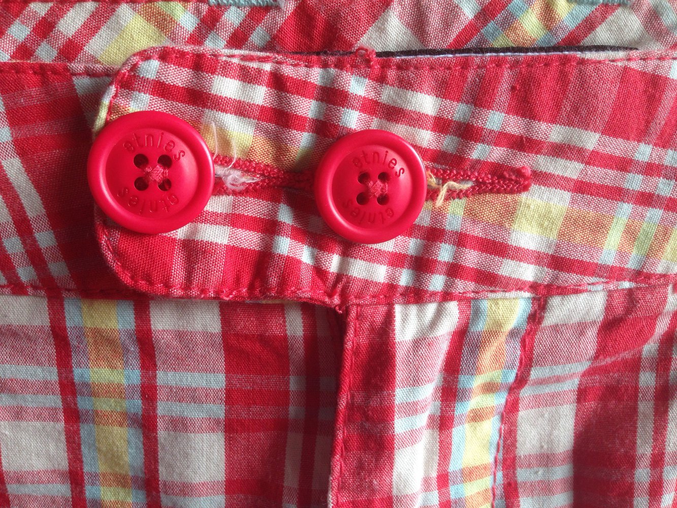 Etnies Skateshorts