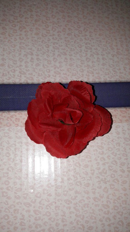 Rote Haarblüte Rose