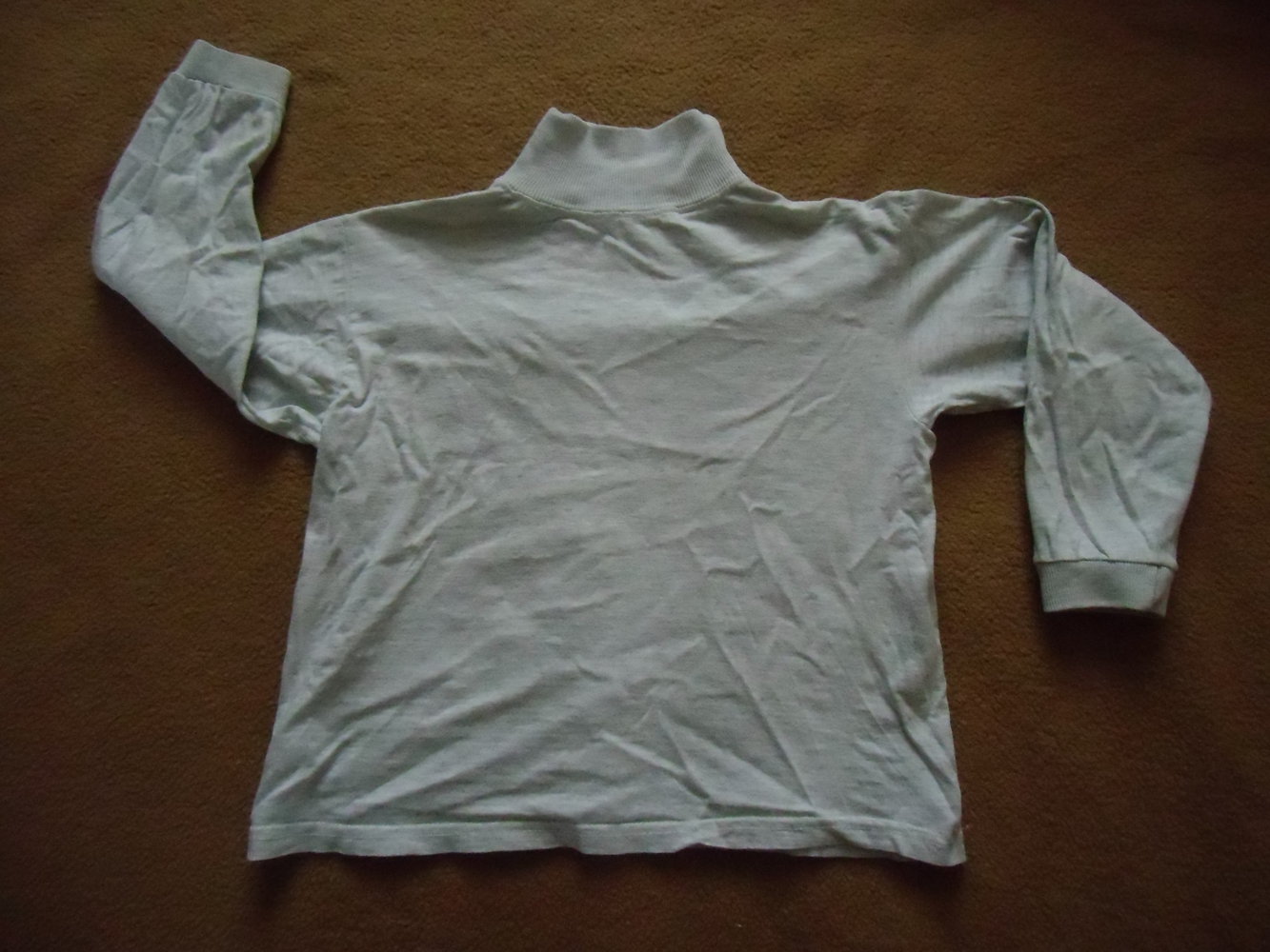 Dünner Rolli / Rollkragenpullover