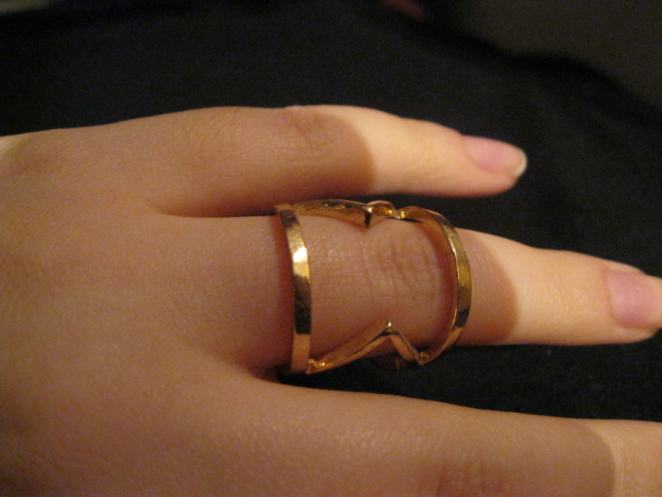 abstrakt geometrischer Ring