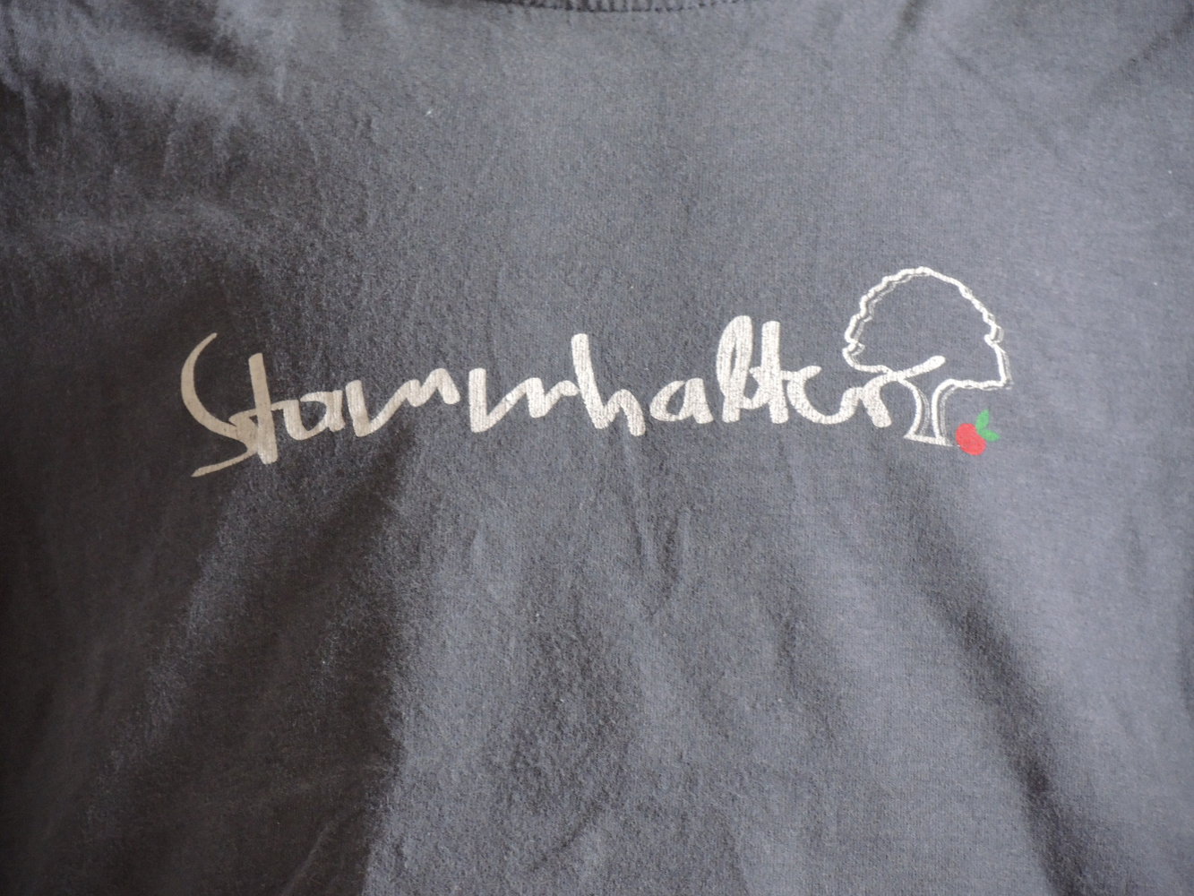 cooles Shirt blaugrau Stammhalter Aufdruck Gr.104 110