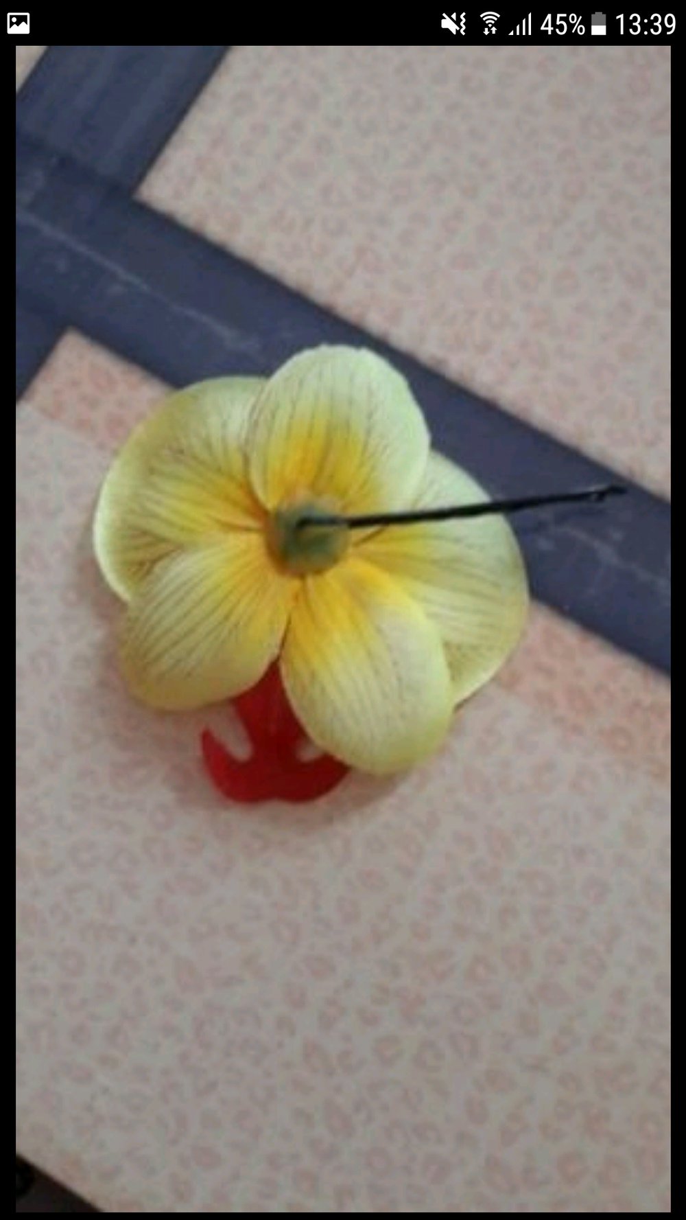 Haarblüte Orchidee 