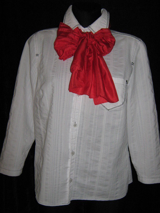 NEU * Edel * ausgefallen * Business * Freizeit * Stickerei * Streifen * Hemd- Bluse 