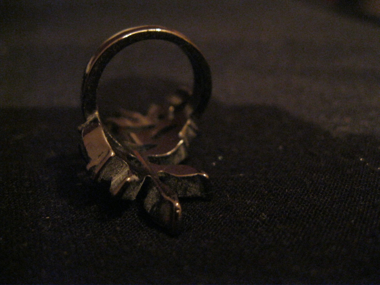 floraler Ring mit Ranken und Kristallen