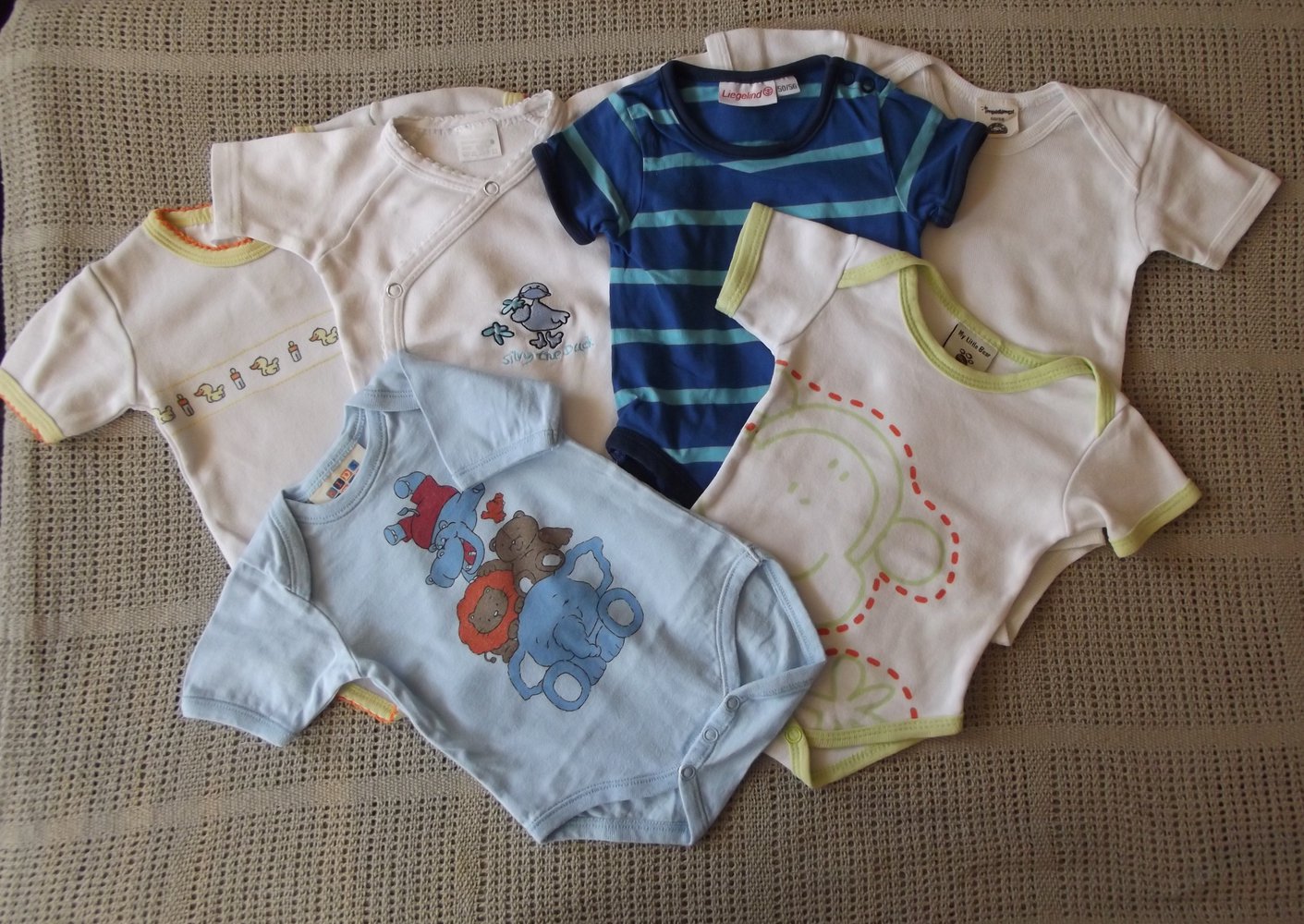 Sechs süße Body´s  Gr. 50/56 