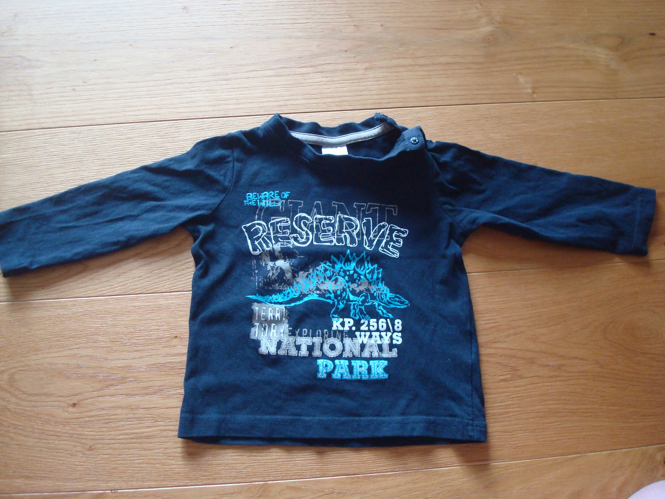 Langarmshirt, Shirt mit Dino Gr. 80