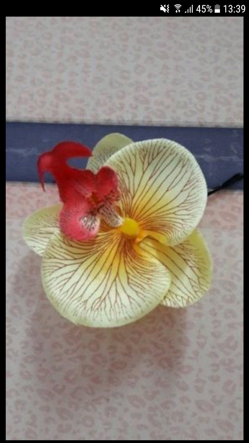 Haarblüte Orchidee 