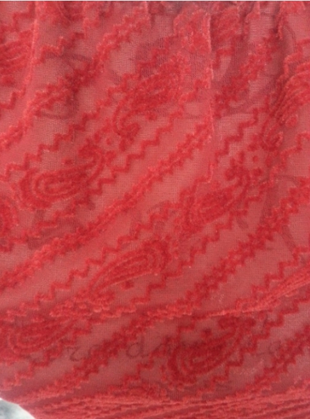 Rotes transparentes Oberteil