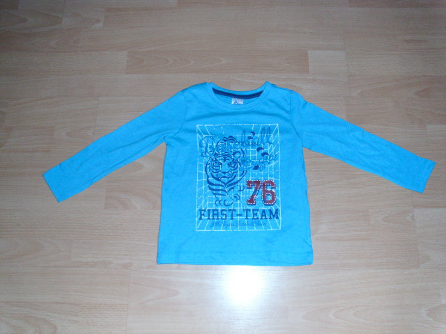 Langarmshirt von Papagino, türkis mit Motiv, Gr. 98/104