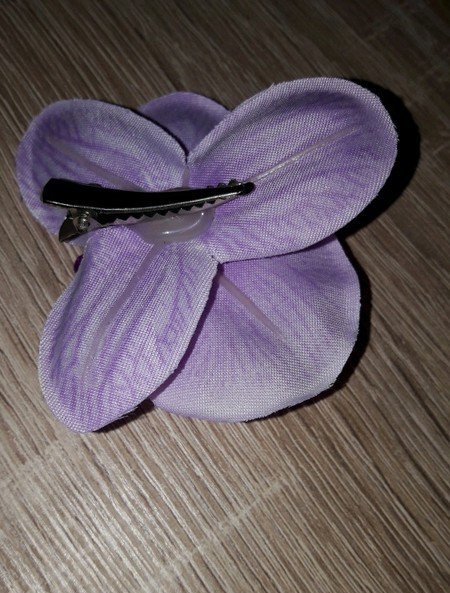Haarblüte Orchidee 