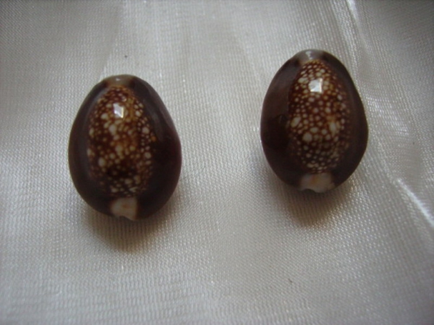 Muschel Ohrclip Paar! 80er Vintage Originale aus Thailand! Naturschmuck! Hippie Boho Goa Tunnelhide