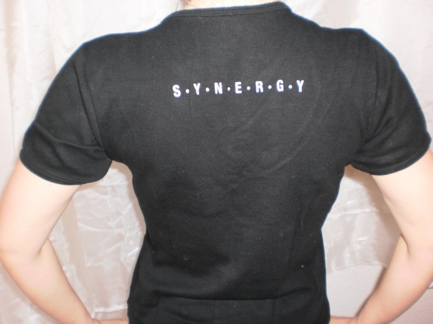 Synergy Extol Girlieshirt S in Silber! Norwegen! Scandinavian Metal!