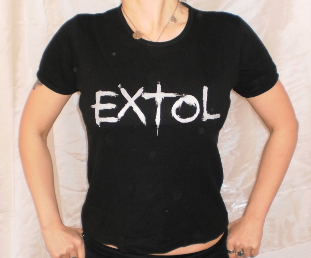 Synergy Extol Girlieshirt S in Silber! Norwegen! Scandinavian Metal!