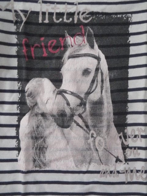 Langarm Shirt Pferd Gr.116 