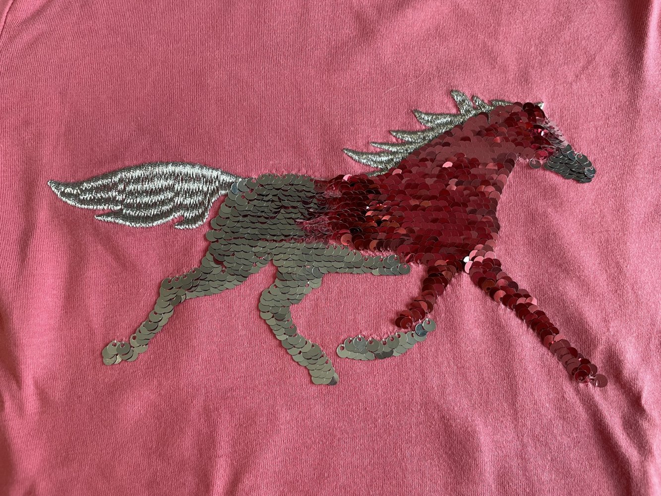 Langarmshirt mit Pferdemotiv