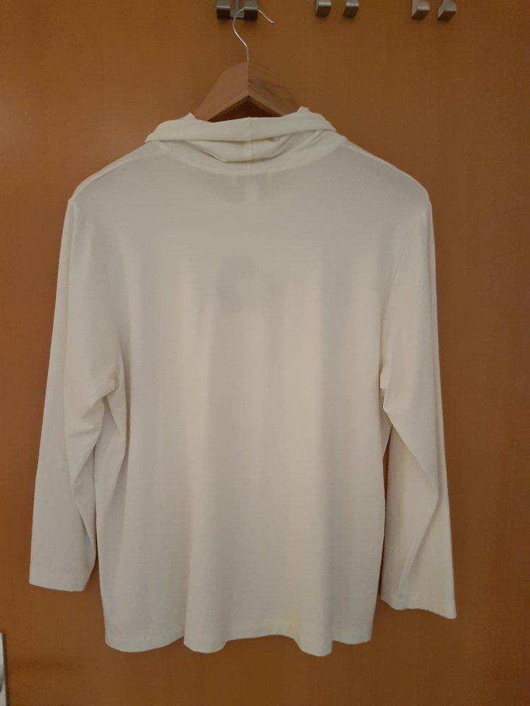 Schönes Rollkragen Shirt Langarm Peter Hahn