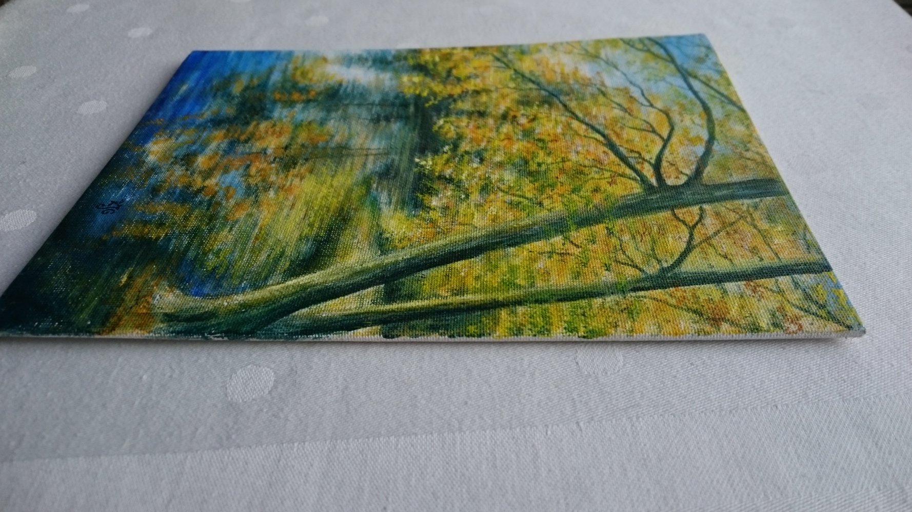 Natur Bild Seeufer mit Baum