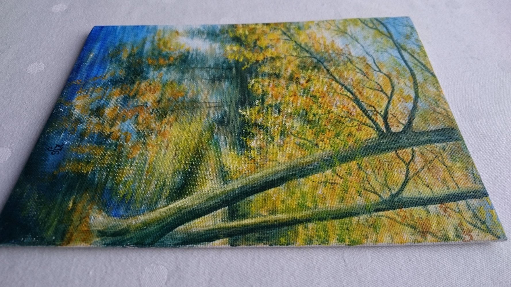 Natur Bild Seeufer mit Baum