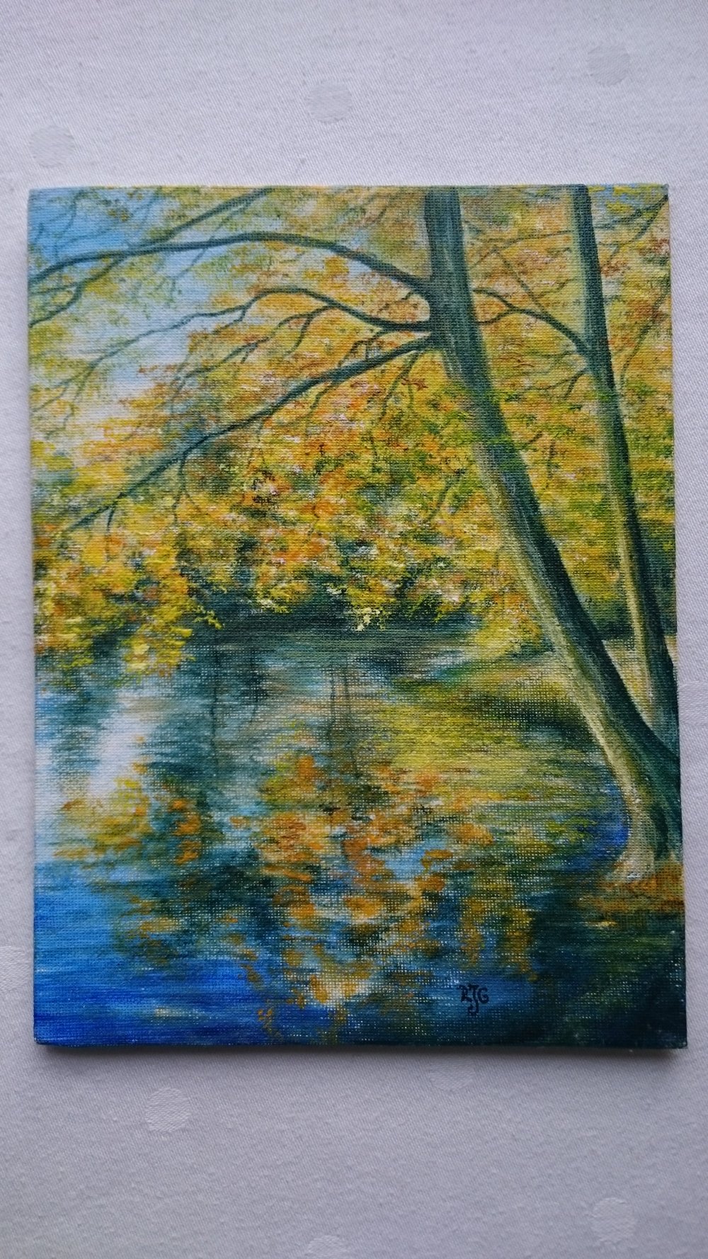 Natur Bild Seeufer mit Baum