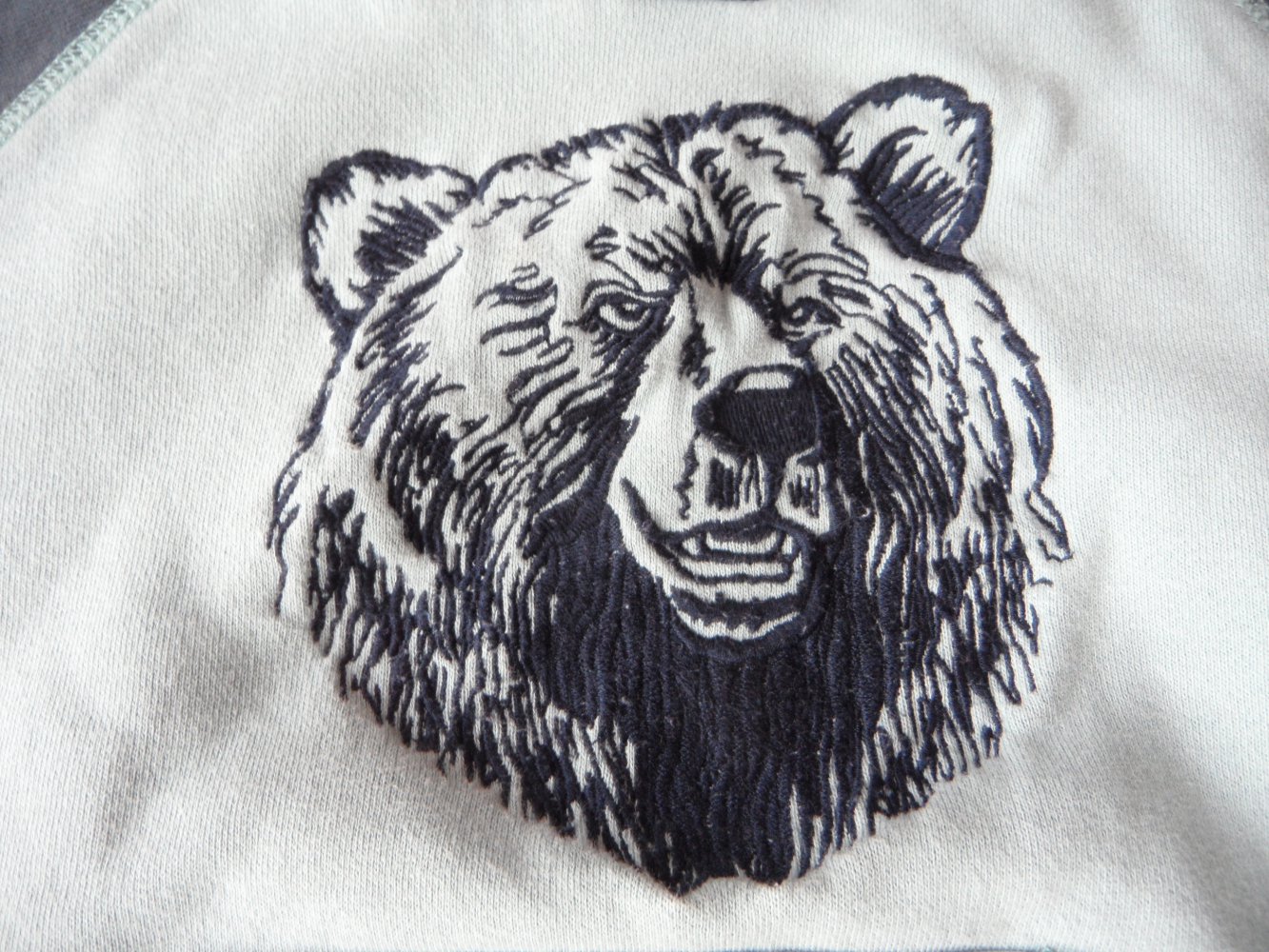 Gymboree Hoodie Hoody Grizzly Bär Sweatshirt Pulli 92/98