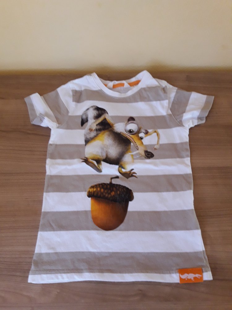 schönes Sommershirt von H&M in Gr. 110/116 mit Ice Age Motiv 